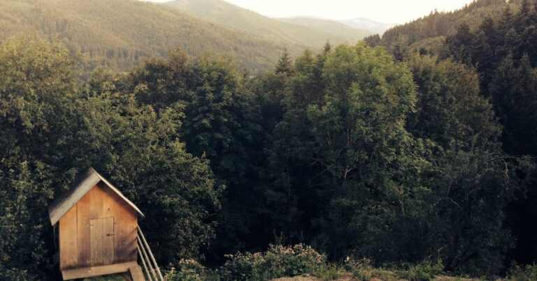 Cloud Computing 2024: Neue Preismodelle und KI-Integration verändern den Markt