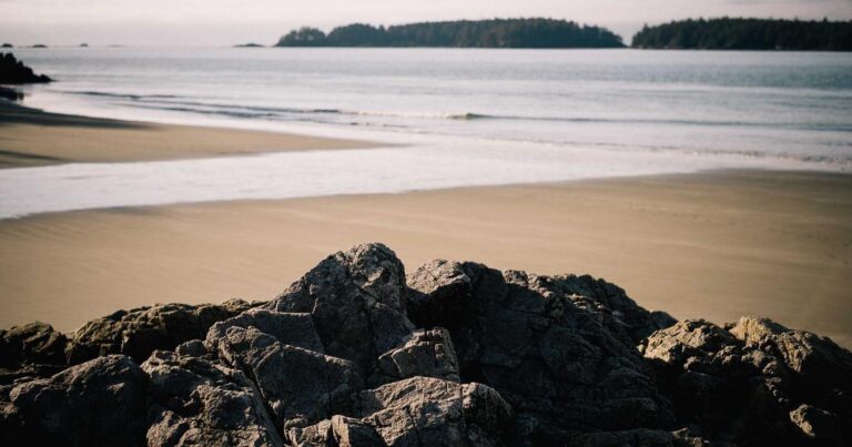 Cybersecurity 2026: Neue Bedrohungen und Schutzstrategien für Unternehmen