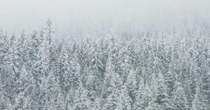 Mehr über den Artikel erfahren LLMs 2026: Vom Musk-Altman-Prozess zu Amazons OpenAI-Offensive — was der Markt bewegt