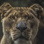 Neuronale Netze 2026: Wegweiser für moderne Unternehmen in der KI-Transformation