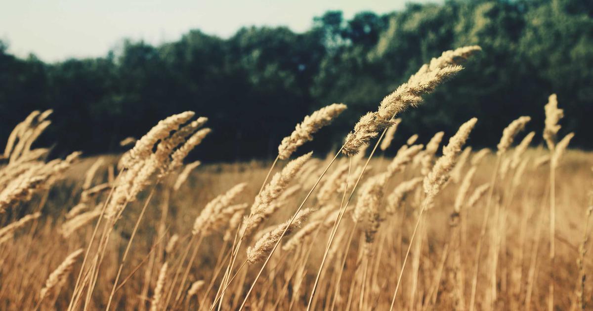 Du betrachtest gerade Quantum Computing 2026: Fehlerkorrektur, hybride Architekturen und die ersten kommerziellen Anwendungen