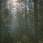 Windows 11 Recall: Microsofts KI-gestützte Zeitreise startet im April 2026