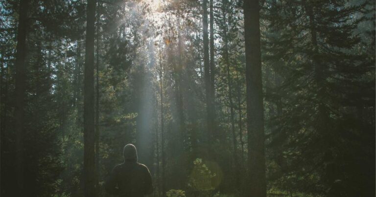 Windows 11 Recall: Microsofts KI-gestützte Zeitreise startet im April 2026